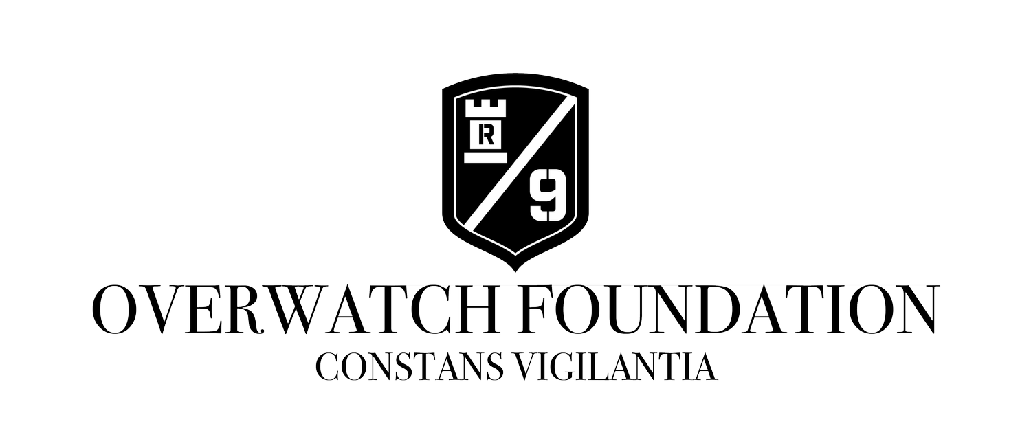 The Overwatch Foundation